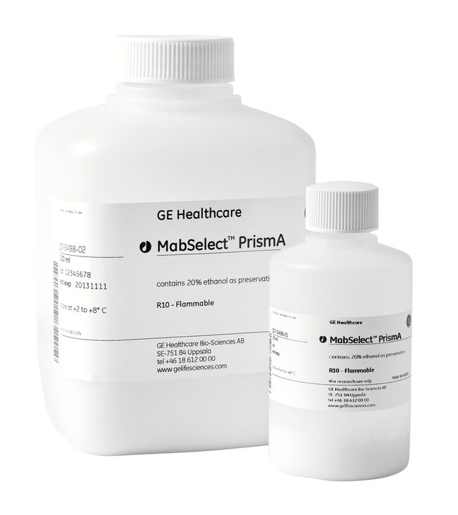 Cytiva MabSelect PrismA Chromatography Resin Fisher Scientific